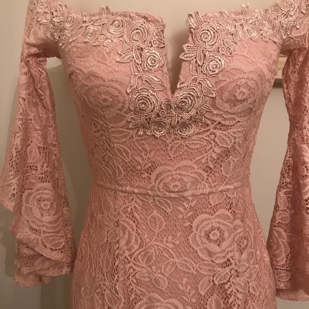Lace Blush Gown